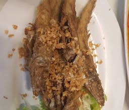 Samila Seafood 沙米拉海鲜 photo