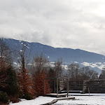 Photo n°5 de l'avis de K.. fait le 09/03/2020 à 12:56 sur le  Zum Alten Moar à Vahrn