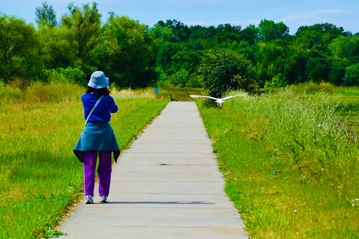 Nature Preserve «Cosumnes River Preserve», reviews and photos, 13501 Franklin Blvd, Galt, CA 95632, USA