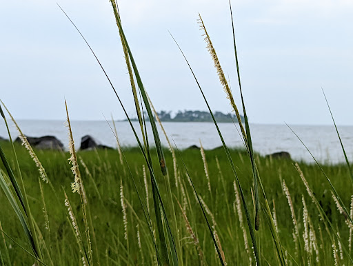 State Park «Silver Sands State Park», reviews and photos, 1 Silver Sands Park Way, Milford, CT 06460, USA