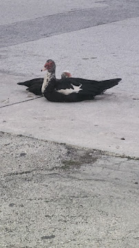 ProTechTeam Miami - Photo 2 - Car repair in Miami, FL, Miami