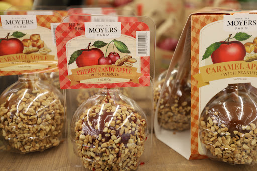 Grocery Store «Food Lion», reviews and photos, 411 W Lincoln St, Tullahoma, TN 37388, USA