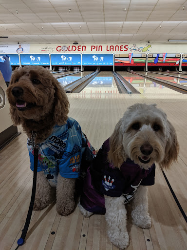 Bowling Alley «Golden Pin Lanes», reviews and photos, 1010 W Miracle Mile, Tucson, AZ 85705, USA