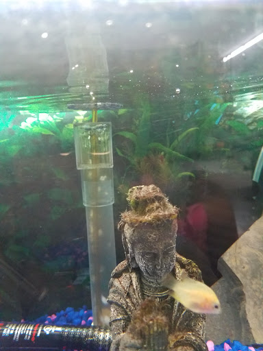 Pet Supply Store «Classic Pet Supply II», reviews and photos, 3180 Gratiot Blvd, Marysville, MI 48040, USA