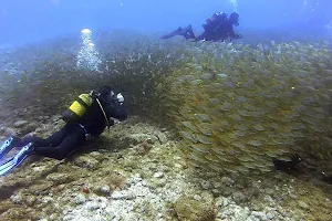 Margullar Diving image