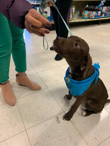 Auto Insurance Agency «State Farm: Ed Hart», reviews and photos