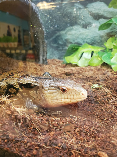 Pet Supply Store «Petco Animal Supplies», reviews and photos, 1350 S Ironton St #120, Aurora, CO 80012, USA