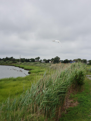 Park «Oceanside Park», reviews and photos, 3800 Mahlon Brower Dr, Oceanside, NY 11572, USA
