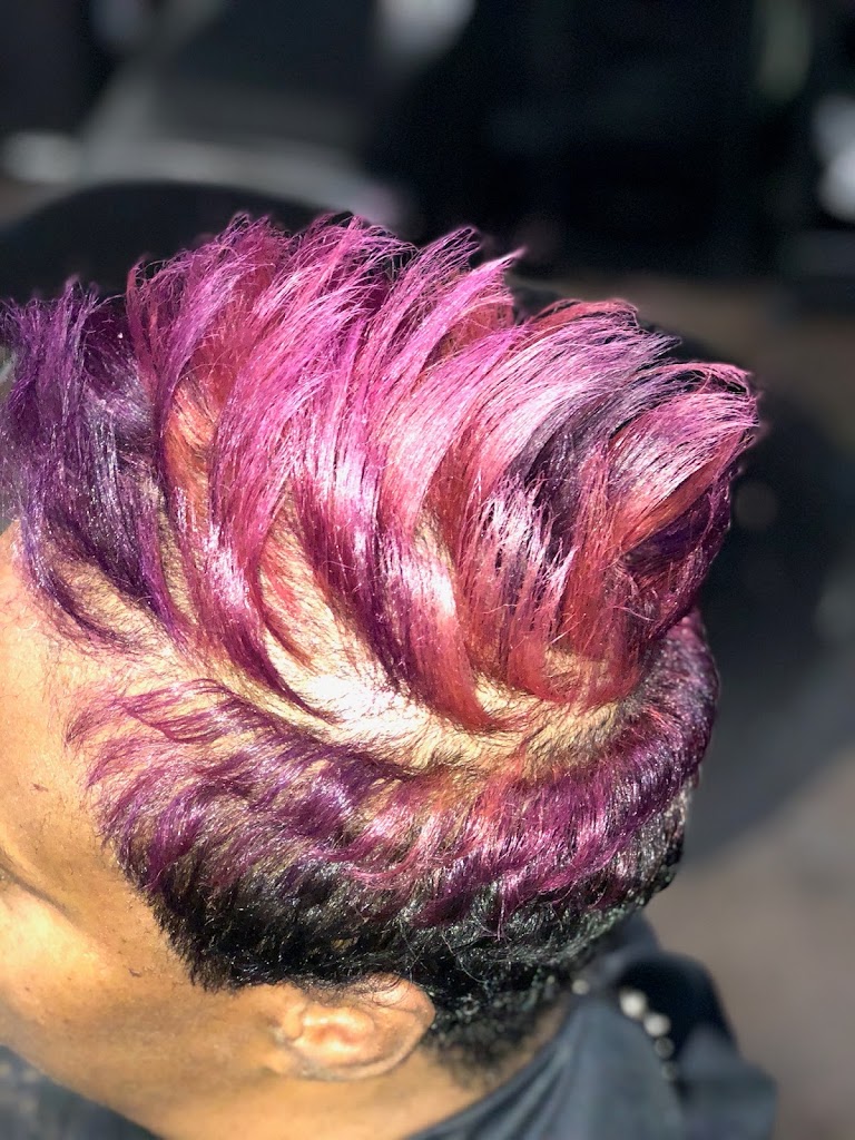 Da’Lisa Monique Hair Studio 85711