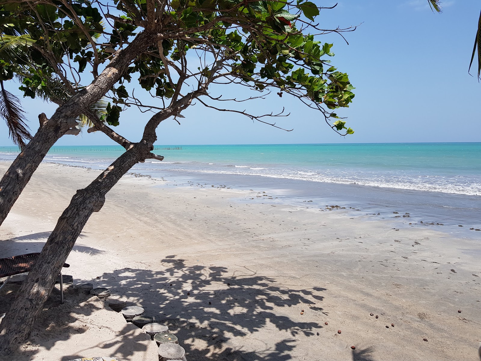 Praia de Sauacuhy'in fotoğrafı düz ve uzun ile birlikte