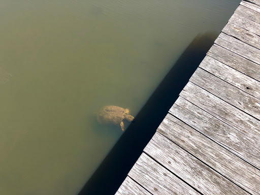 Winery «Gouveia Vineyards», reviews and photos, 1339 Whirlwind Hill Rd, Wallingford, CT 06492, USA