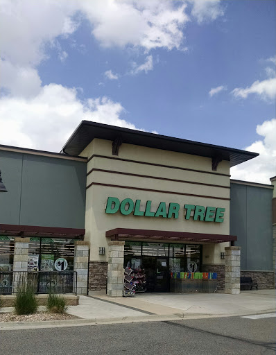 Dollar Store «Dollar Tree», reviews and photos, 2439 Prairie Center Pkwy, Brighton, CO 80601, USA
