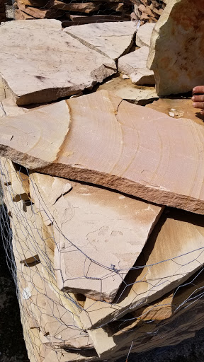 Garden Center «Pro-Lawn Garden Center», reviews and photos, 37245 FL-54, Zephyrhills, FL 33542, USA