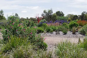 Melton Botanic Garden image