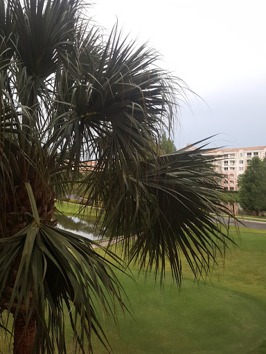 Golf Club «Marriott Golf Academy», reviews and photos, 12001 Ave Verde, Orlando, FL 32821, USA