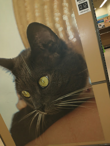 Pet Supply Store «Petco Animal Supplies», reviews and photos, 11331 W Broad St #151, Glen Allen, VA 23060, USA