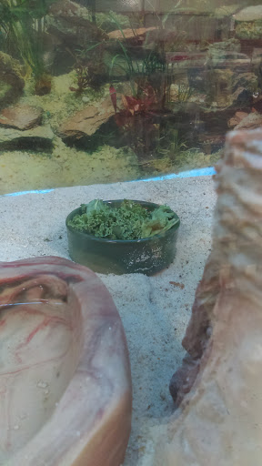 Pet Supply Store «Petco Animal Supplies», reviews and photos, 309 Worth Ave #123, Stafford, VA 22554, USA