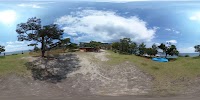 唐崎の松(唐崎霊松)