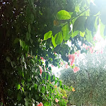 Photo n°3 de l'avis de Marco.o fait le 28/10/2022 à 23:06 sur le  Il Trappetello à Monopoli