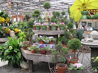 Gilbertie's Herbs and Garden Center - Photo 5 - Car repair in Westport, CT, Bridgeport