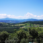 Photo n°3 de l'avis de Giovanna. fait le 03/08/2019 à 11:34 sur le  Ristorante Colombaccio à Serramazzoni