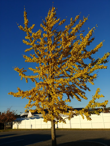 Uptown Liquors, 207 NE Front St, Milford, DE 19963, USA, 