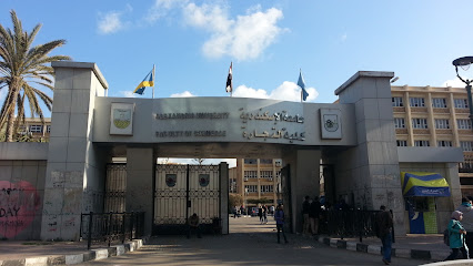 كلية تجارة - جامعة الإسكندرية