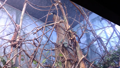 Foundation «The Henry Doorly Zoo», reviews and photos, 3701 S 10th St, Omaha, NE 68107, USA