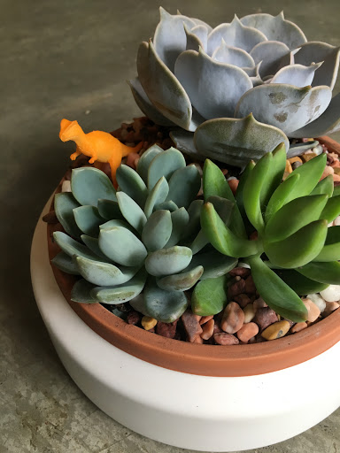 Florist «Verde & Co», reviews and photos, 400 Fairview Ave N #103, Seattle, WA 98109, USA