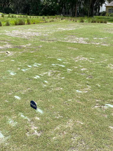 Golf Course «Celebration Golf Club», reviews and photos, 701 Golfpark Dr, Kissimmee, FL 34747, USA