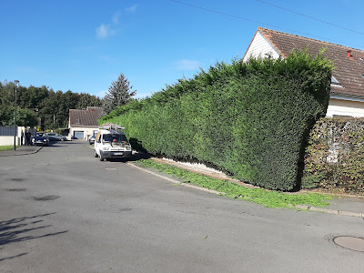 Dufour Élagage à Méricourt