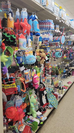 Discount Store «Big Lots», reviews and photos, 308 FL-312, St Augustine, FL 32086, USA