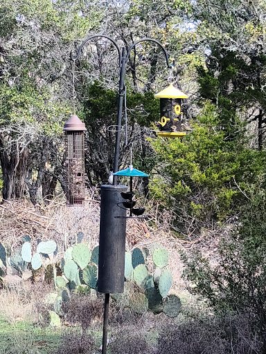 Non-Profit Organization «Westcave Outdoor Discovery Center», reviews and photos, 24814 Hamilton Pool Rd, Round Mountain, TX 78663, USA