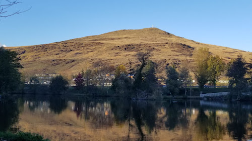 Puy de Wolf à Firmi