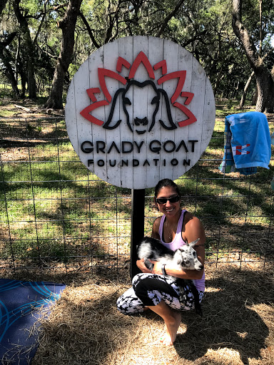 Grady Goat Yoga Tampa Bay