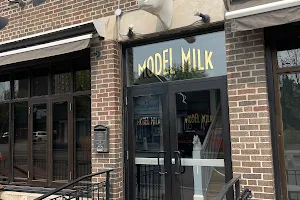 Model Milk image