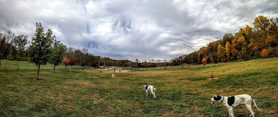 Ferguson Dog Park