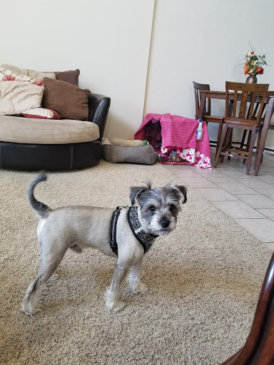 Pet Supply Store «PetSmart», reviews and photos, 2525 W Wheatland Rd, Dallas, TX 75237, USA