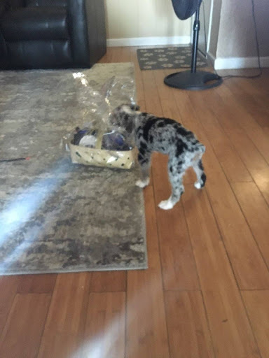 HVAC Contractor «ACE Home Services», reviews and photos, 3321 E Atlanta Ave, Phoenix, AZ 85040, USA