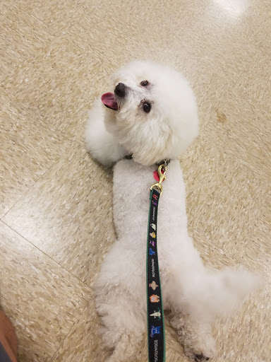 Pet Supply Store «PetSmart», reviews and photos, 5435 W TX-1604 Loop N, San Antonio, TX 78253, USA