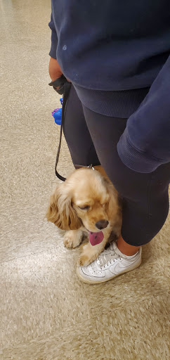 Pet Supply Store «PetSmart», reviews and photos, 10900 W Jefferson Blvd, Culver City, CA 90230, USA