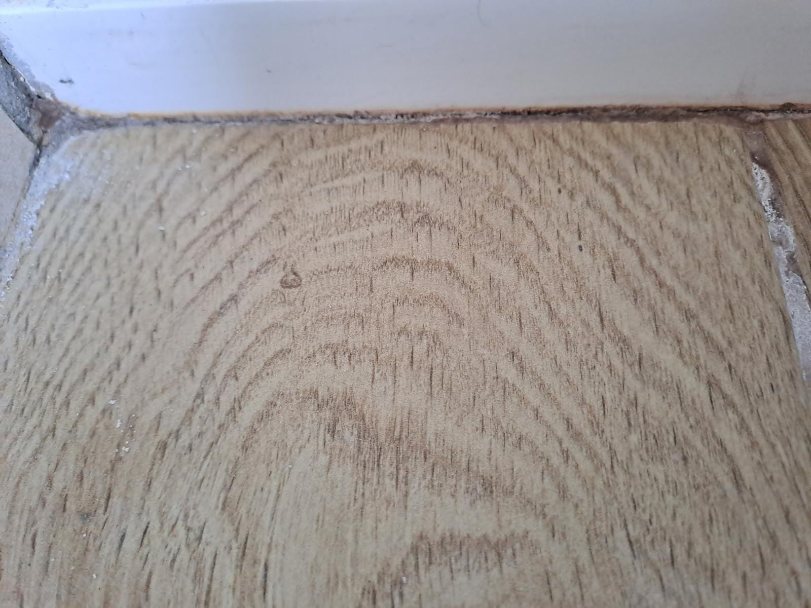 Photo n° 4 de l'avis de rémi.e fait le 30/03/2023 à 19:20