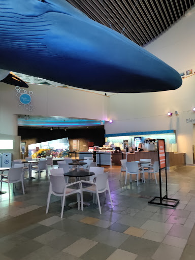Aquarium «Aquarium of the Pacific», reviews and photos, 100 Aquarium Way, Long Beach, CA 90802, USA