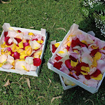 Photo n°3 de l'avis de Studio.r fait le 01/07/2021 à 19:41 sur le  Joia Hotel & Luxury Apartments à Brusaporto