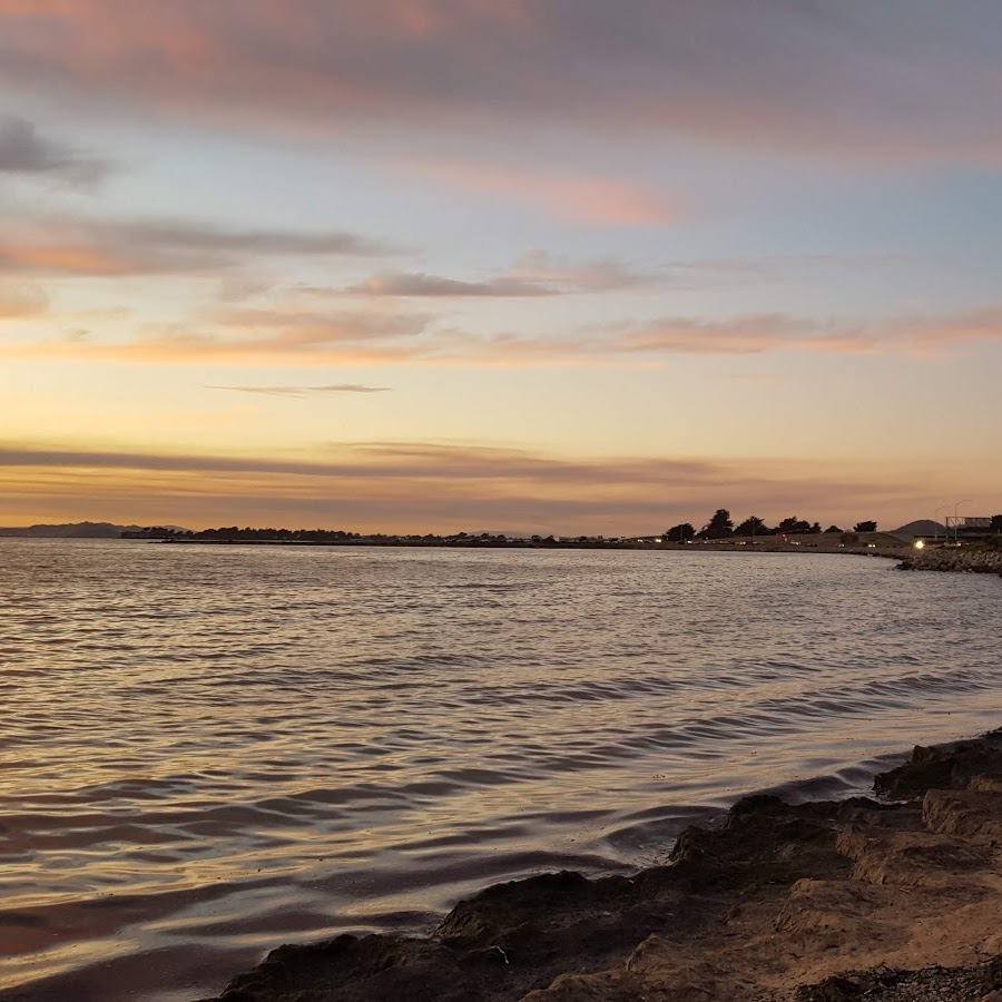 Shorebird Park Emeryville