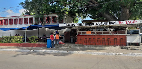 Mr. Taco: Tacos y Gorditas Surtidas - Ayuntamiento 901, Rodríguez, 89170 Tampico, Tamps., Mexico