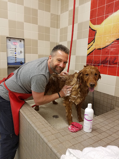 Pet Supply Store «Pet Food Express», reviews and photos, 838 Southampton Rd, Benicia, CA 94510, USA