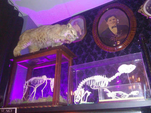 Tattoo Shop «The Séance Tattoo Parlor», reviews and photos, The Séance Tattoo Parlor, 3478 Bristol Pike, Bensalem, PA 19020, USA