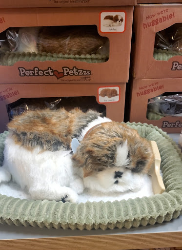 Toy Store «Play Toys & Gifts», reviews and photos, 167 Main St # A, Beacon, NY 12508, USA