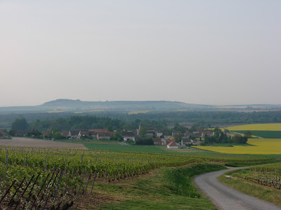 Champagne GUYARD-LEBLANC à Coizard-Joches